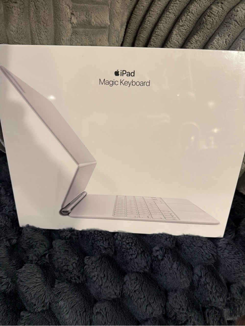 Apple iPad Magic Keyboard - White/Silver